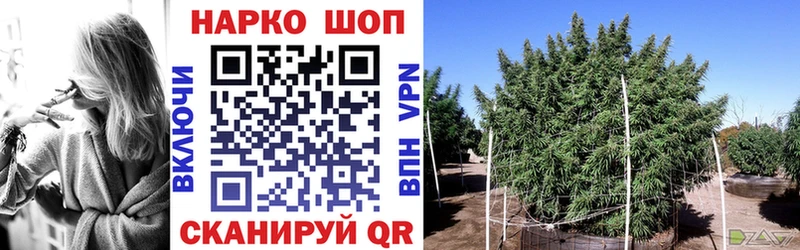 Купить закладку Конаково Бошки Шишки  A-PVP  АМФ  Мефедрон  Гашиш 