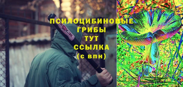 стаф Белоозёрский
