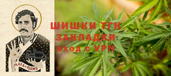 стаф Белоозёрский