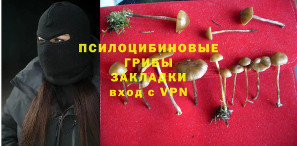 стаф Белоозёрский