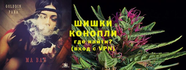молекула духа Белокуриха