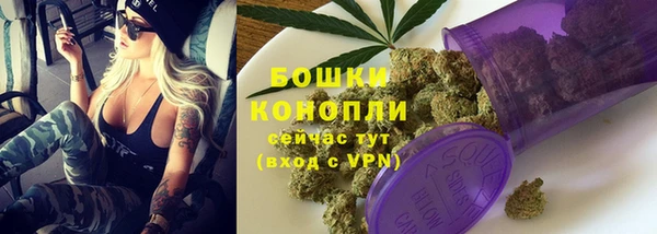 молекула духа Белокуриха