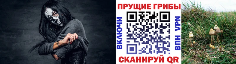 Псилоцибиновые грибы MAGIC MUSHROOMS  Конаково 